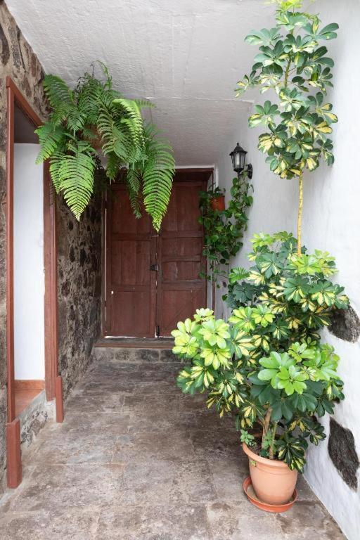 Casa Canaria Acero Garachico  Exterior foto